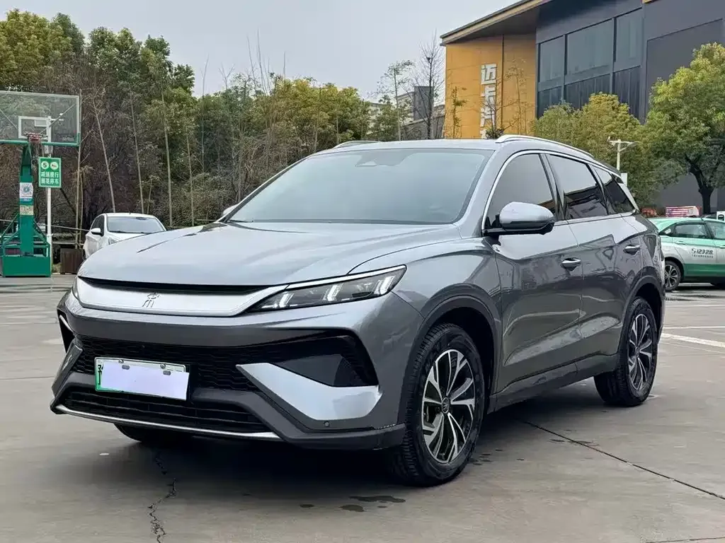 BYD Pro New Energy 2025 из CN, фото 1