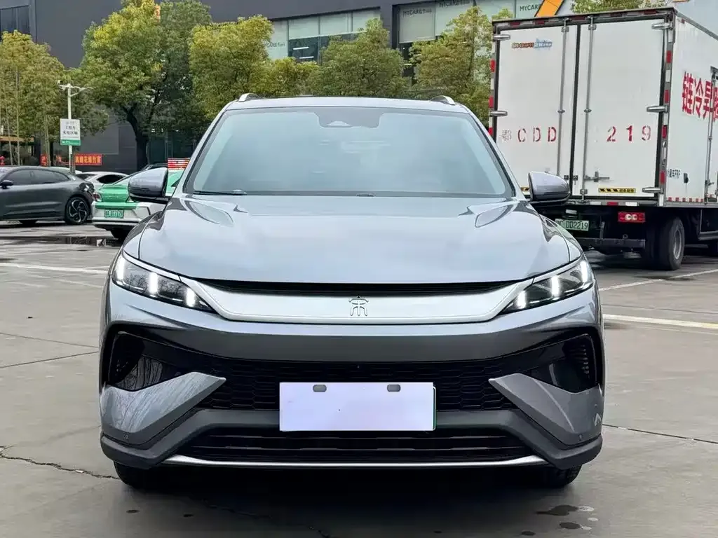 BYD Pro New Energy 2025 из CN, фото 8