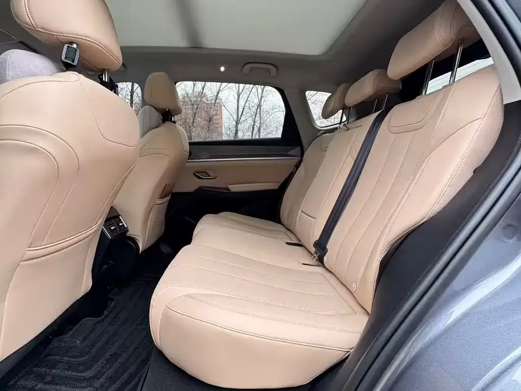 BYD Pro New Energy 2025 из CN, фото 2