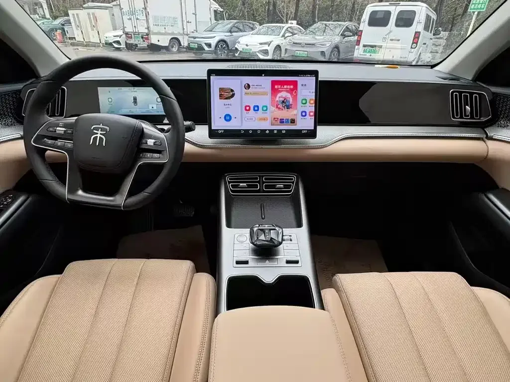 BYD Pro New Energy 2025 из CN, фото 10