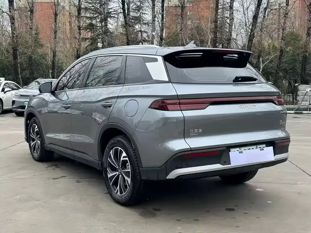 BYD Pro New Energy 2025 из CN, фото 4
