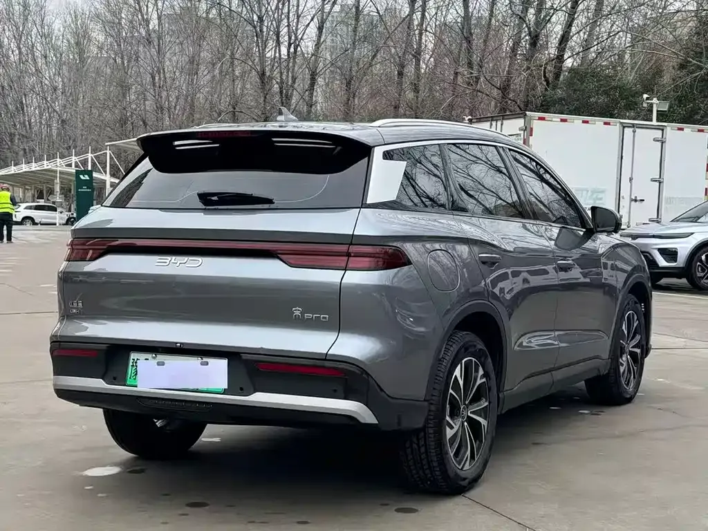 BYD Pro New Energy 2025 из CN, фото 5