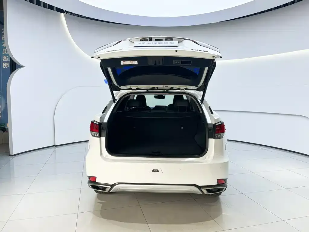 Lexus RX 2022 из CN, фото 7