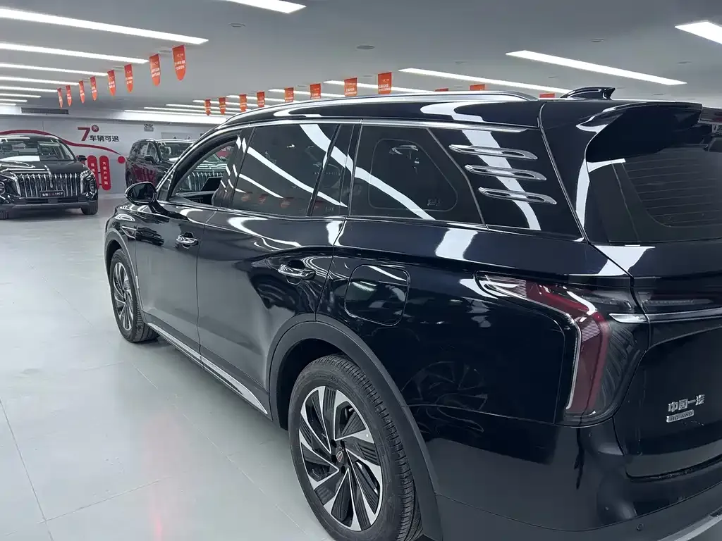 Hongqi HS7 PHEV 2024 из CN, фото 6