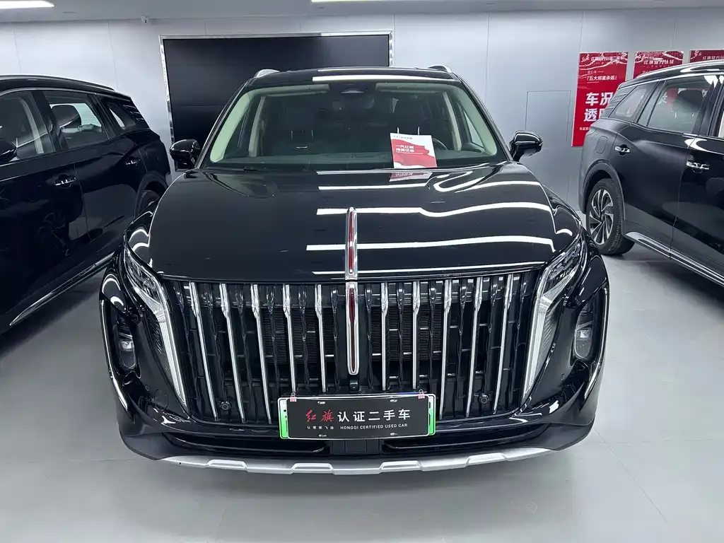 Hongqi HS7 PHEV 2024 из CN, фото 2
