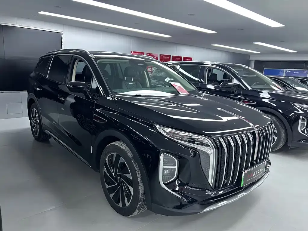 Hongqi HS7 PHEV 2024 из CN, фото 8
