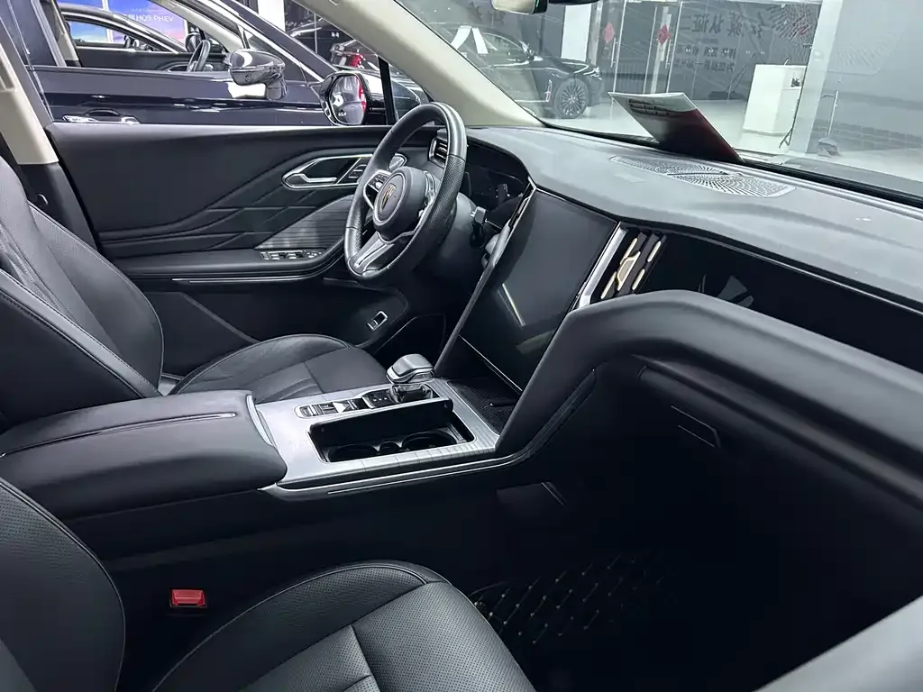 Hongqi HS7 PHEV 2024 из CN, фото 3