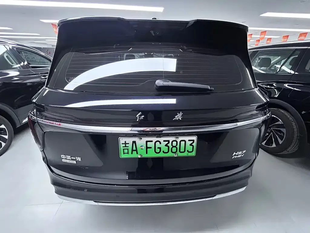 Hongqi HS7 PHEV 2024 из CN, фото 10