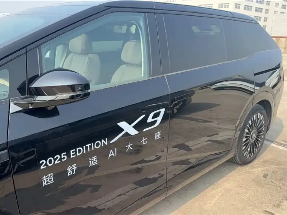 XPeng X9 2025 из CN, фото 4