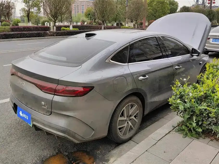 BYD Qin L 2025 из CN, фото 9