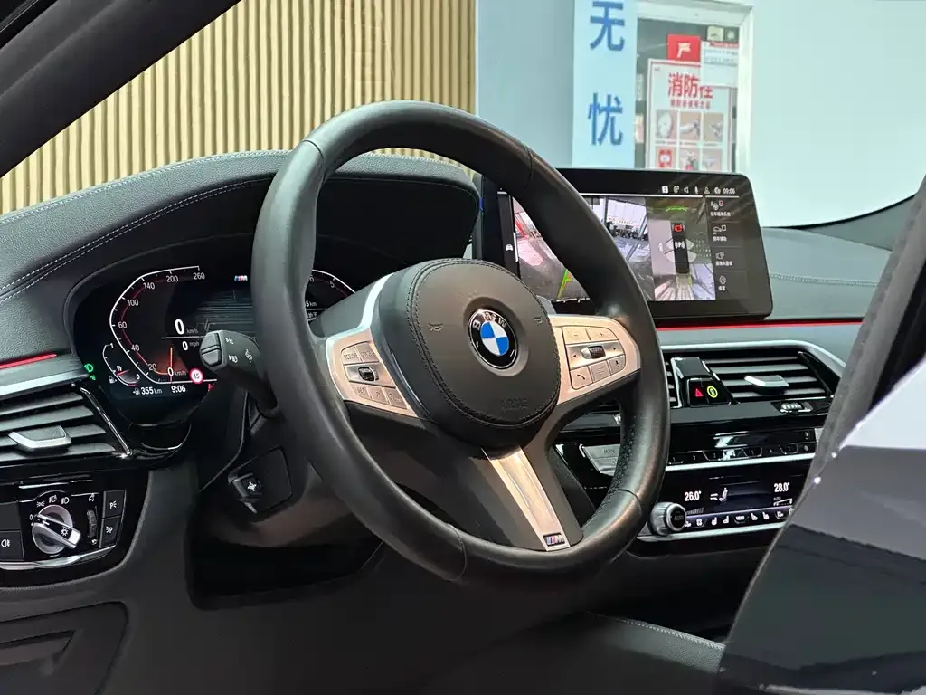 BMW 5 Series 2022 из CN, фото 9