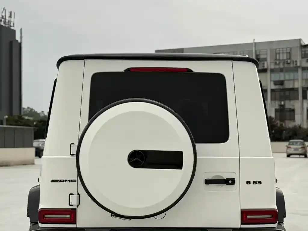 Mercedes-Benz G-Class 2022 из CN, фото 5