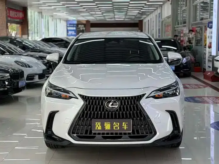 Lexus NX — фото 8