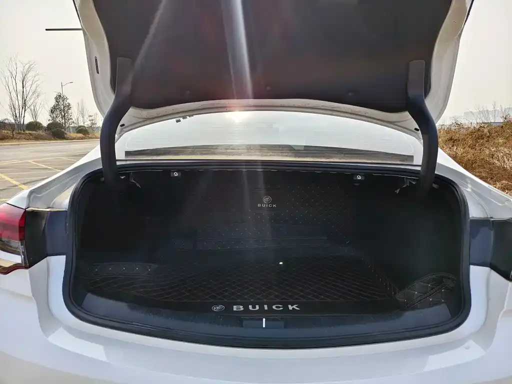 Buick Regal 2024 из CN, фото 4