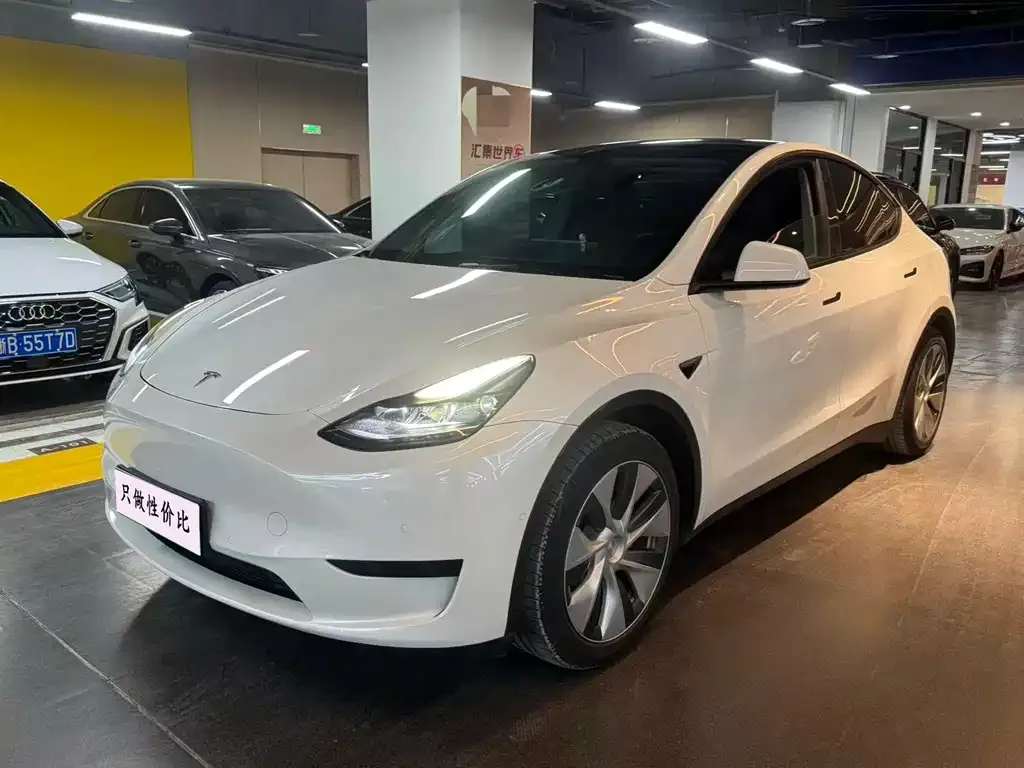 Tesla Model Y 2022 из CN, фото 1