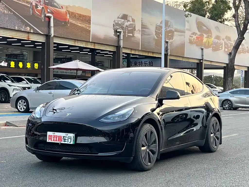Tesla Model Y 2023 из CN, фото 1