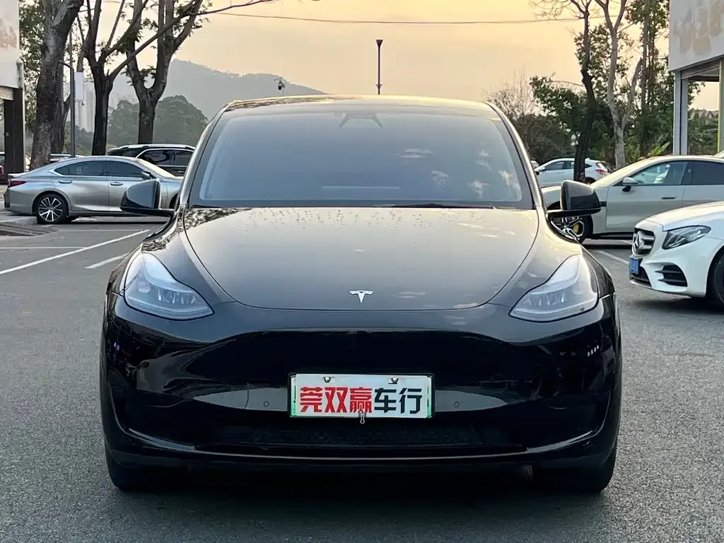 Tesla Model Y 2023 из CN, фото 3