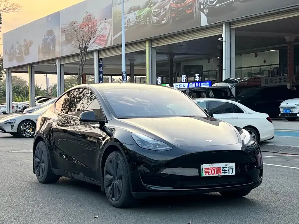 Tesla Model Y 2023 из CN, фото 6
