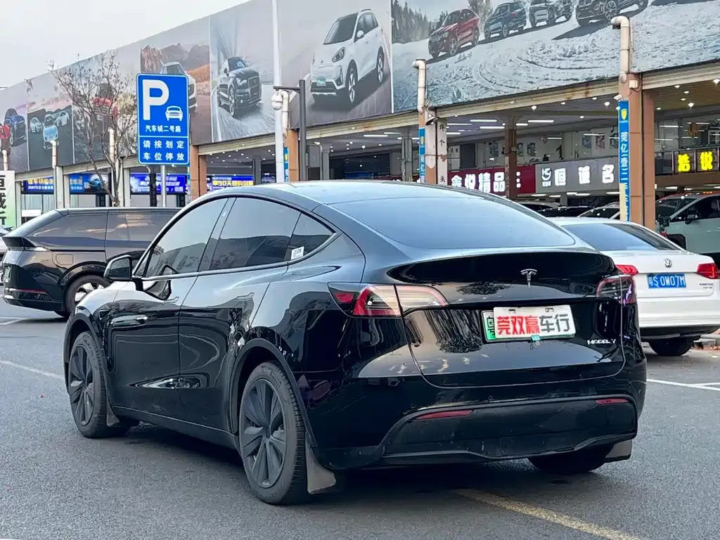 Tesla Model Y 2023 из CN, фото 5