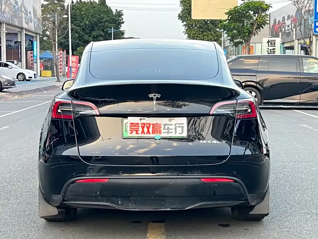 Tesla Model Y 2023 из CN, фото 9