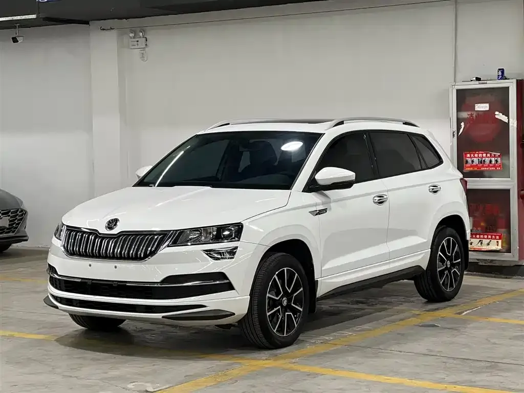 Skoda Karoq 2023 из CN, фото 1