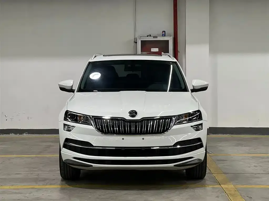 Skoda Karoq 2023 из CN, фото 3