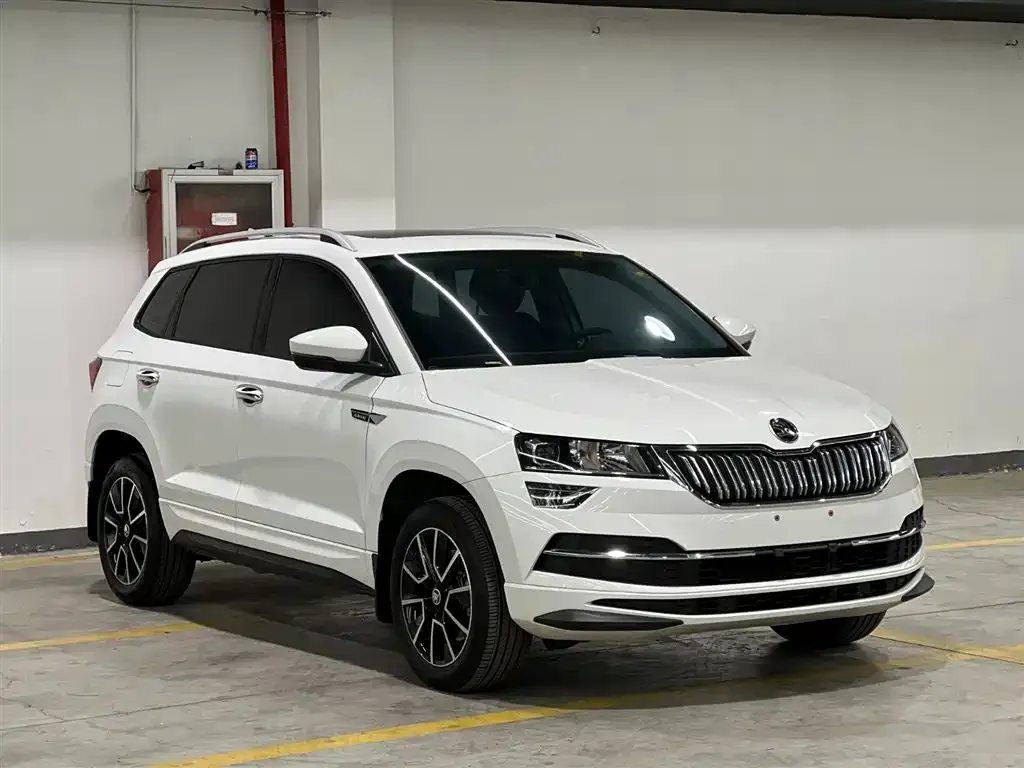Skoda Karoq 2023 из CN, фото 7