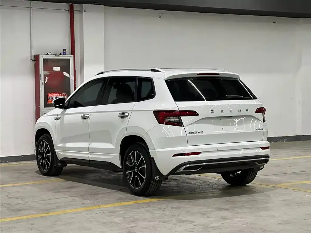 Skoda Karoq 2023 из CN, фото 6