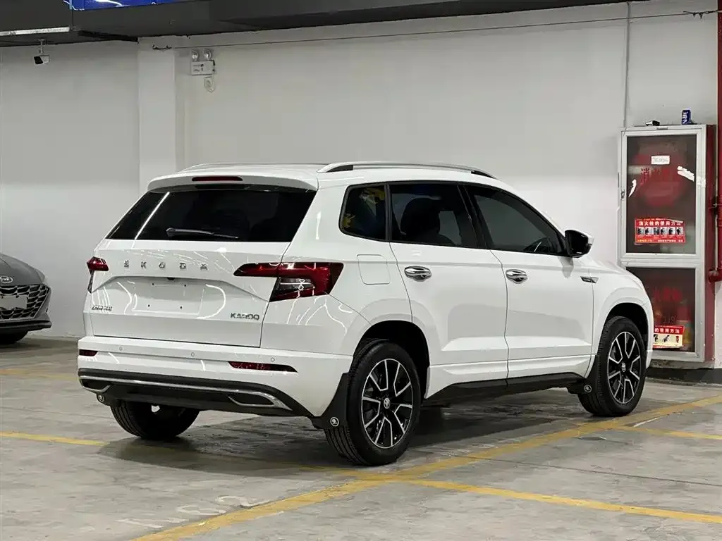 Skoda Karoq 2023 из CN, фото 9