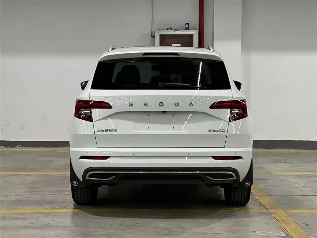 Skoda Karoq 2023 из CN, фото 2