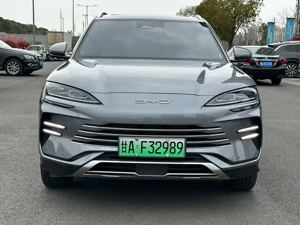 BYD PLUS New Energy 2024 из CN, фото 2