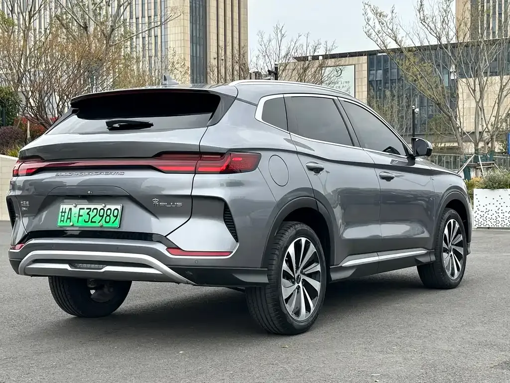 BYD PLUS New Energy 2024 из CN, фото 3