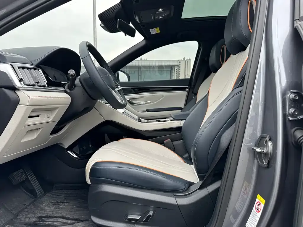 BYD PLUS New Energy 2024 из CN, фото 6