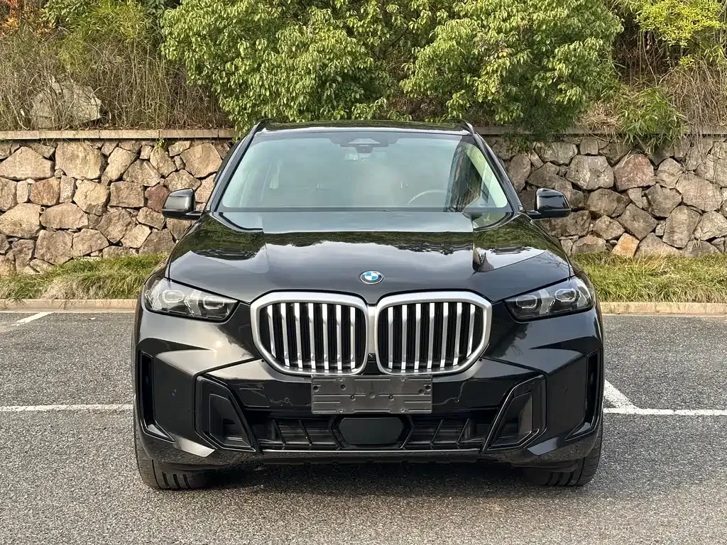 BMW X5 — фото 7