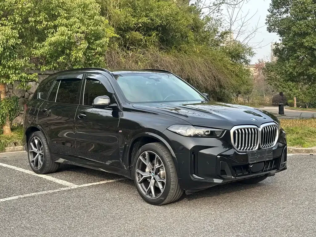 BMW X5 — фото 9