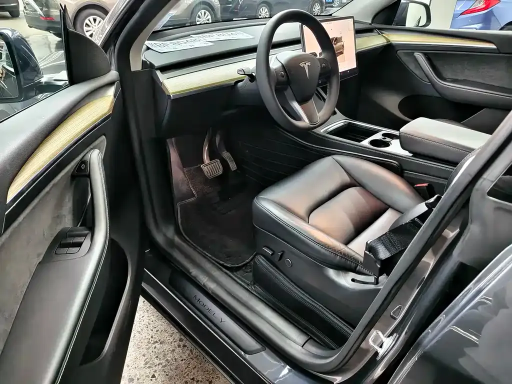 Tesla Model Y 2023 из CN, фото 6