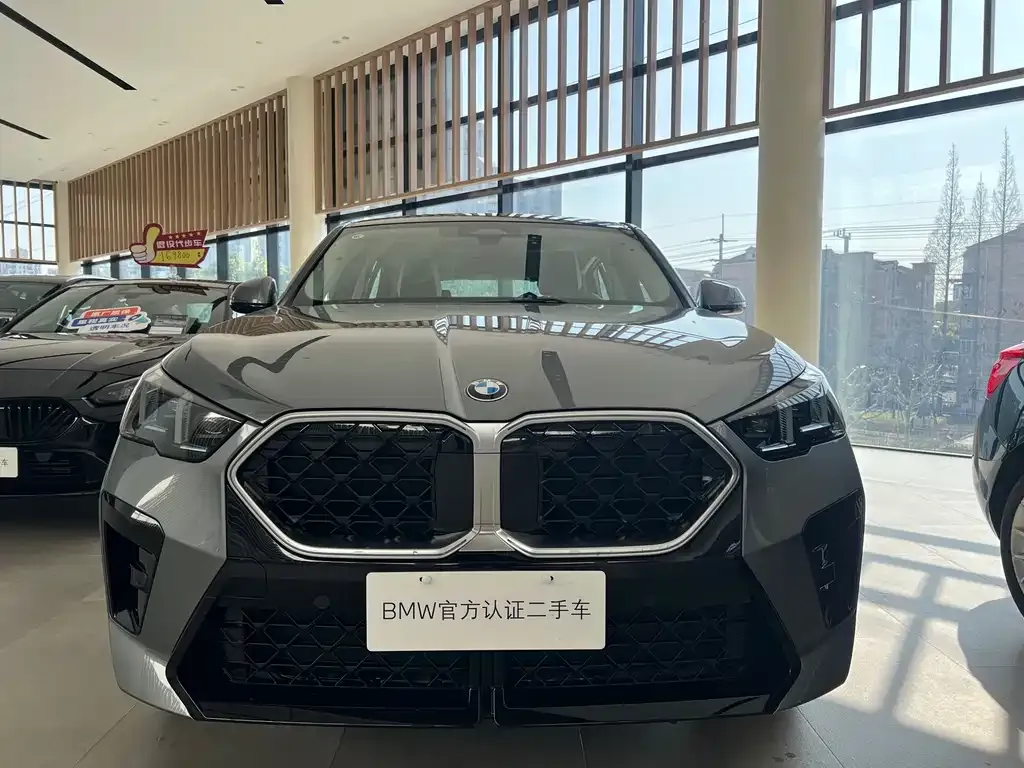 BMW X2 (Import) 2025 из CN, фото 9