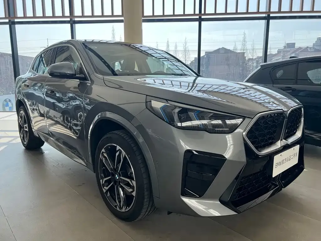 BMW X2 (Import) 2025 из CN, фото 10