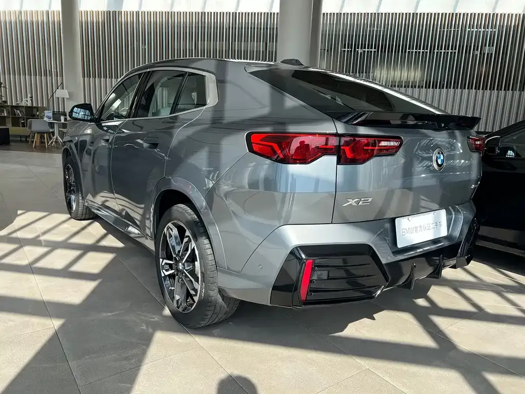 BMW X2 (Import) 2025 из CN, фото 5