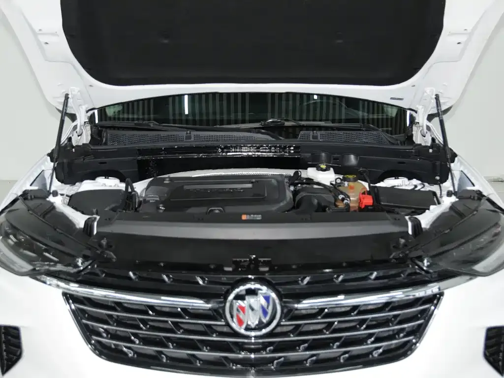 Buick Envision Plus 2021 из CN, фото 7