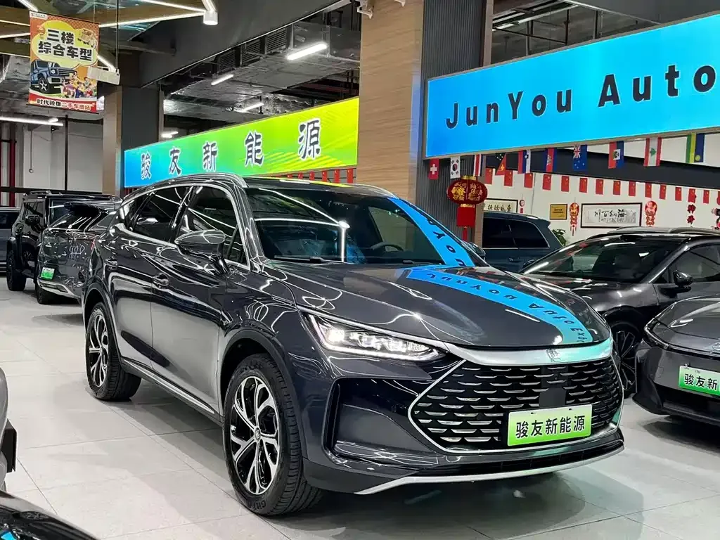 BYD Tang New Energy 2024 из CN, фото 7