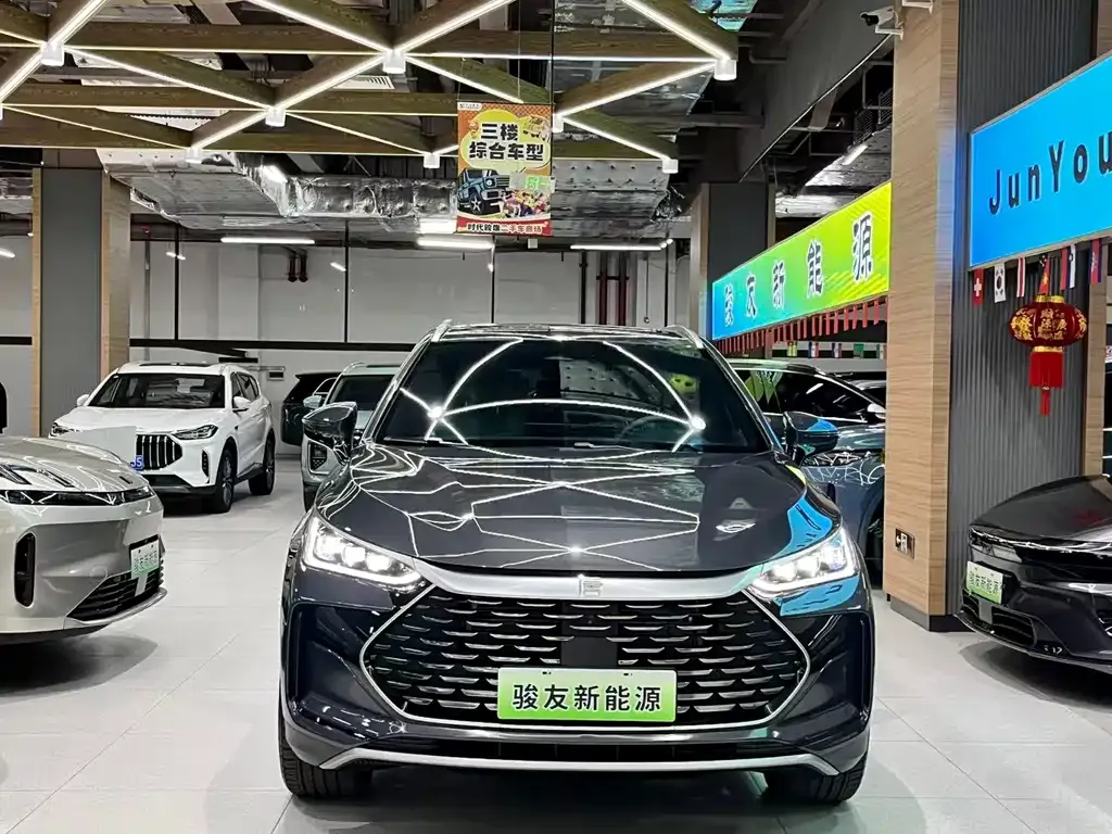 BYD Tang New Energy 2024 из CN, фото 9