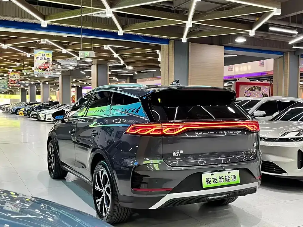 BYD Tang New Energy 2024 из CN, фото 8