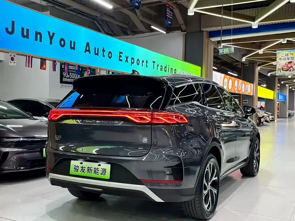 BYD Tang New Energy 2024 из CN, фото 6