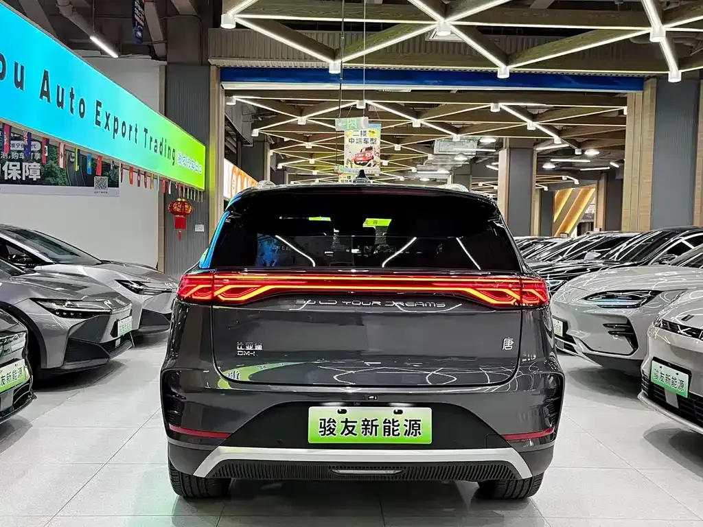BYD Tang New Energy 2024 из CN, фото 4