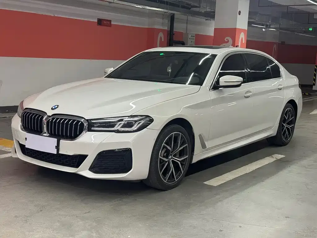 BMW 5 Series 2021 из CN, фото 1