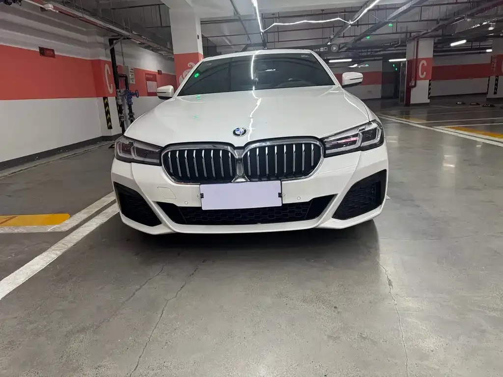 BMW 5 Series 2021 из CN, фото 10