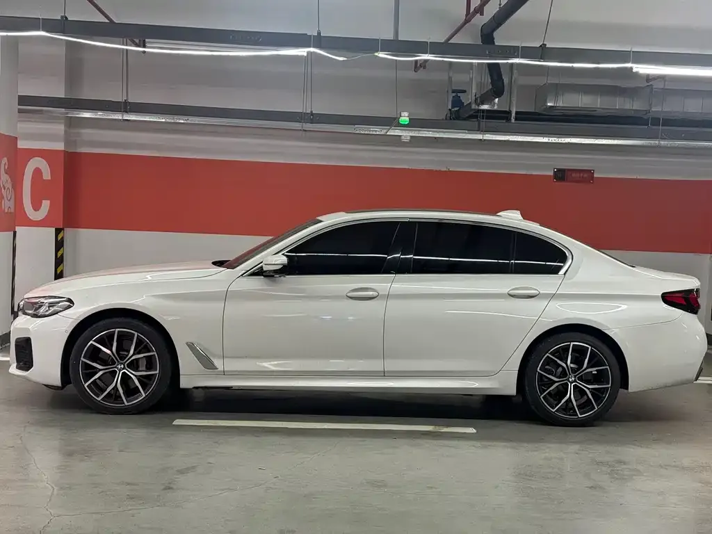BMW 5 Series 2021 из CN, фото 4