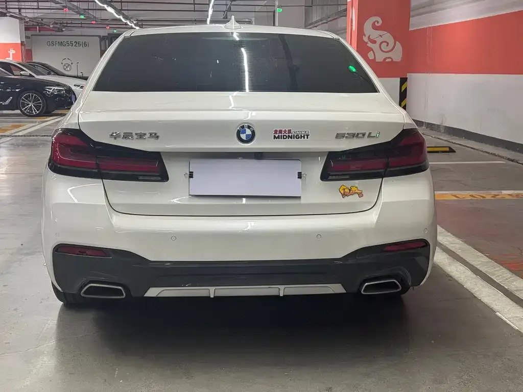 BMW 5 Series 2021 из CN, фото 5