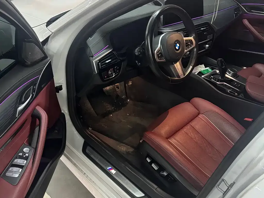 BMW 5 Series 2021 из CN, фото 6
